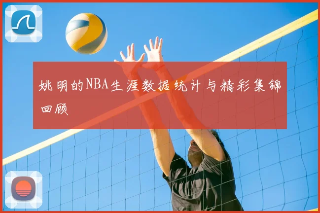姚明的NBA生涯数据统计与精彩集锦回顾