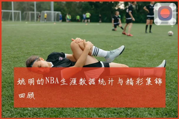 姚明的NBA生涯数据统计与精彩集锦回顾