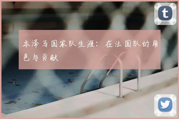 本泽马国家队生涯：在法国队的角色与贡献